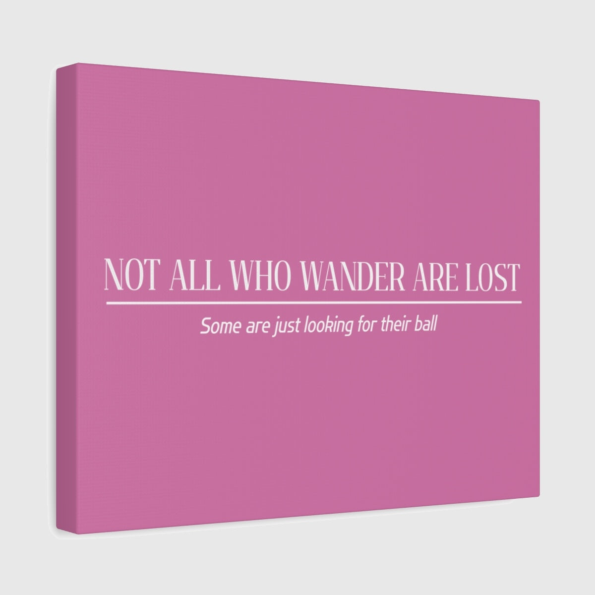 Not All Who Wander Are Lost - Canvas Wall Art - Light Pink - 11×14 - front