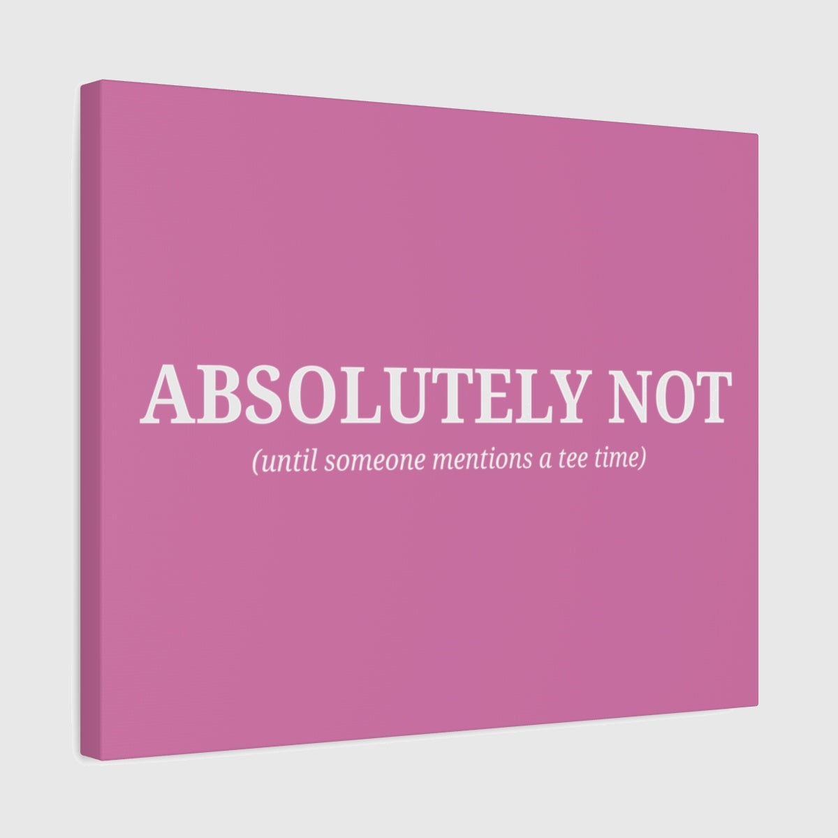 ABSOLUTELY NOT - Canvas Wall Art - Light Pink - 16×20 - front