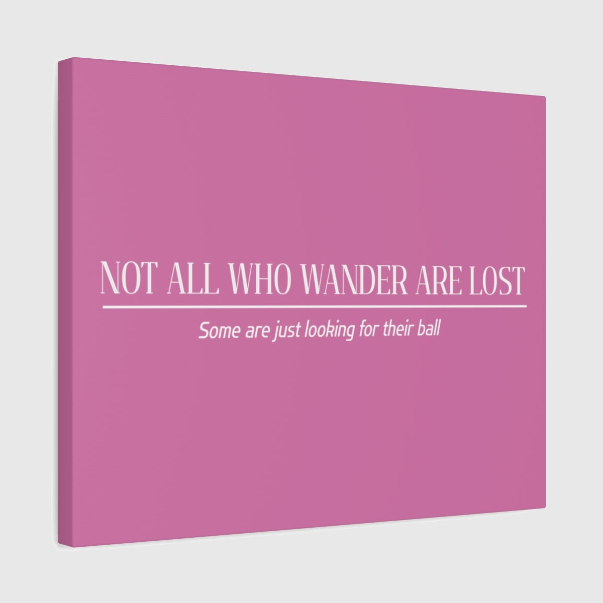 Not All Who Wander Are Lost - Canvas Wall Art - Light Pink - 16×20 - front