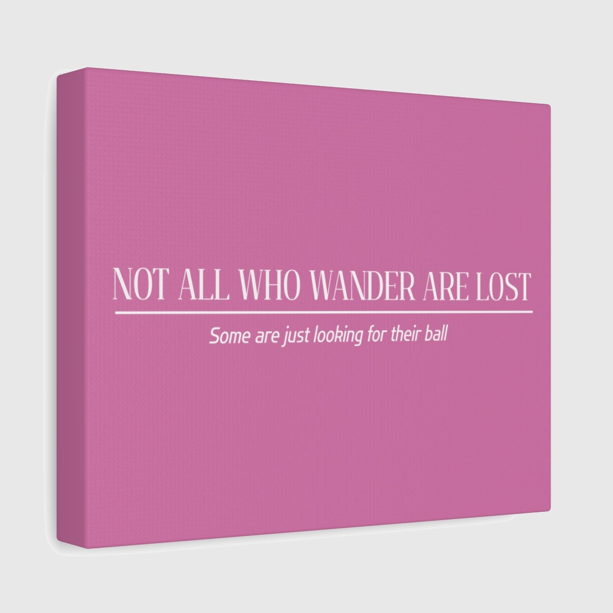 Not All Who Wander Are Lost - Canvas Wall Art - Light Pink - 8×10 - front